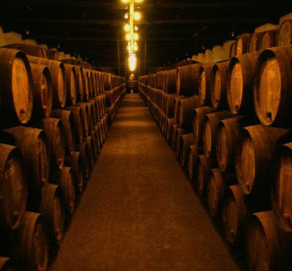 Visita as Caves de Vinho do Porto