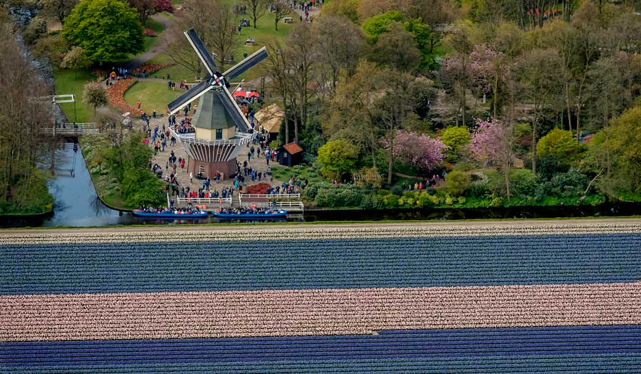 Foto: divulgação Keukenhof