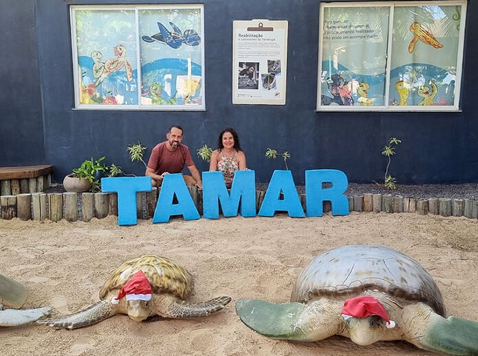 projeto tamar aracaju